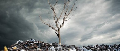 jiuyou登录入口三和，设计更好用的垃圾桶